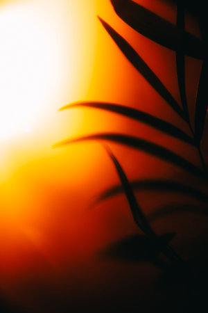 Silhouette of dark tropical leaves on red background