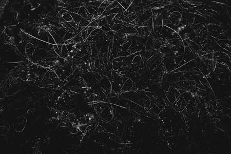Close-up of water texture, smooth waves of water on the shore, landscape photo of waterの写真素材