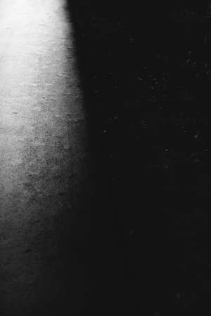 black and white photo of an asphalt road in the forestの写真素材