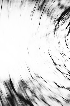 Landscape black and white photo, silhouettes of tree branches in the skyの写真素材