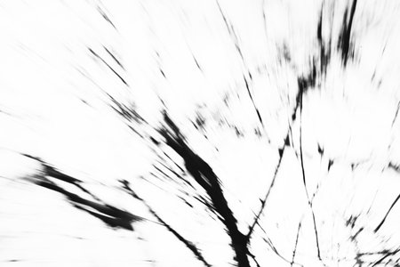 Landscape black and white photo, silhouettes of tree branches in the skyの写真素材