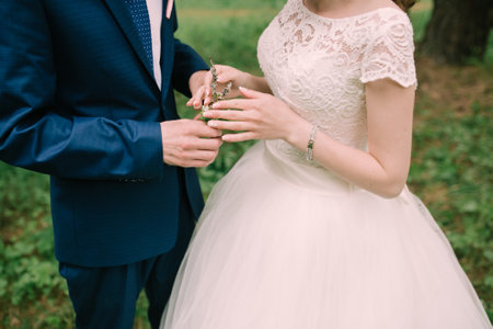 Color wedding photo, hands of husband and wife close-up, wedding ceremonyの写真素材