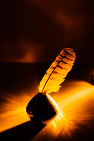 Beautiful eagle feather close-up, space for textの写真素材