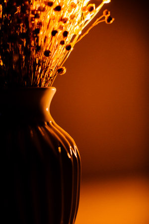 beautiful spikelets of dry plants close-up against the bright rays of the setting sun. Silhouettes of flowers on a dark background.の写真素材