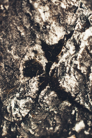 Natural Stone texture background in dark colors, close - up of the mountain landscape structure