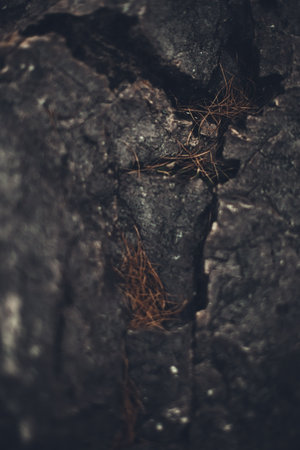 Stone dark background, texture and structure of the mountain landscape close-upの写真素材