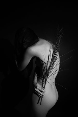 Black and white studio photo, naked girl and branch of beautiful exotic plant on body. Art photography, art and fashionの写真素材