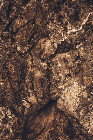 close-up rock texture, stone pattern and abstraction on the rocks of the mountains