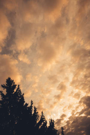 incredibly beautiful textured sky, colorful landscape of clouds in an orange skyの写真素材