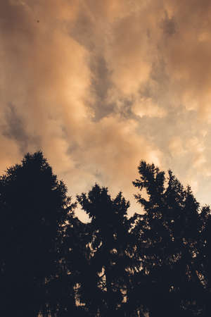 incredibly beautiful textured sky, colorful landscape of clouds in an orange skyの写真素材
