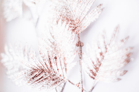 Silver tropical leaves close up on a white background. Abstract plant background, top view, space...