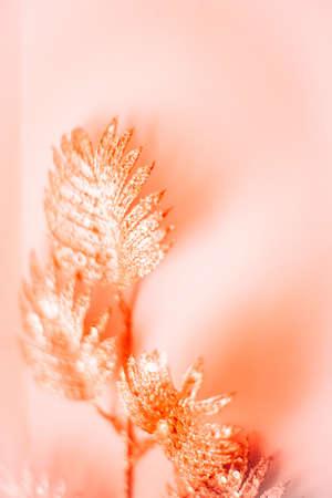 abstract dark vegetable background. golden tropical leaves close-up. space for textの写真素材