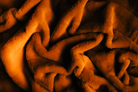 orange fur, the texture of the blanket close up