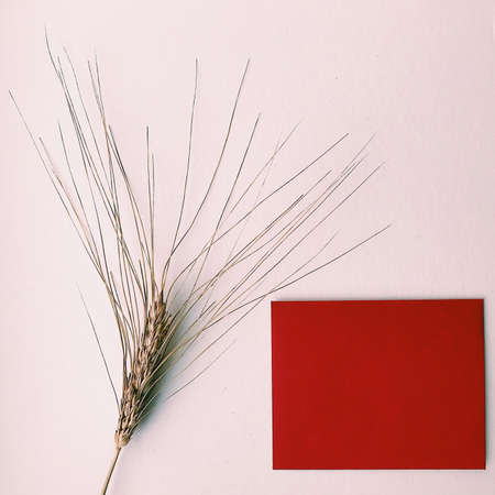 Red crafting small envelope and a dry ear of wheat on a white background. Top view, space for textの写真素材