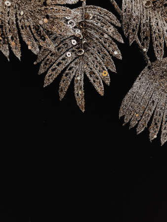 Silver tropical leaves close up on a dark background. Abstract plant background, top view, space for textの写真素材