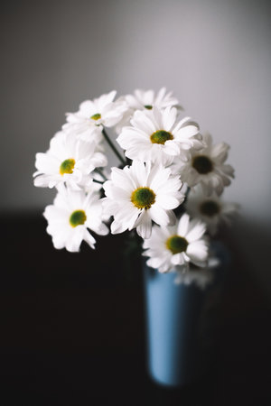 abstract floral background of white daisies, fuzzy photo of plants. space for text, beautiful blur...
