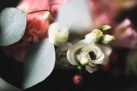 abstract bouquet with eucalyptus. the concept of March 8.space for textの写真素材