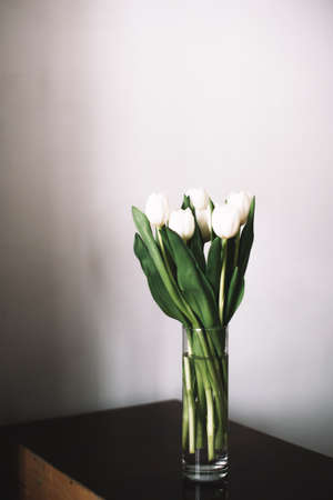 Bouquet of white tulips for March 8. Abstract floral background for International Women's Dayの写真素材