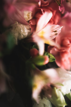 abstract soft pink floral background, bouquet of different flowers close-up, macro photography of...