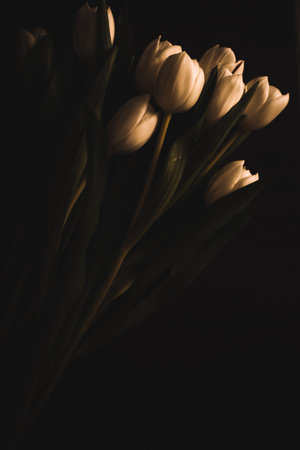 bouquet of soft yellow tulips for mother's day