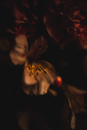 abstract dark floral background, fuzzy photo of delicate flowers, text background for March 8