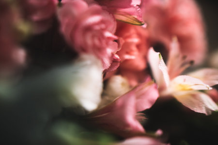 abstract soft pink floral background, bouquet of different flowers close-up, macro photography of...