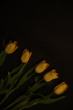 Minimal styled concept. Bouquet of yellow tulips on black background. Creative still life plants, spring floral concept.の写真素材