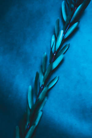 abstract blue plant background, blurred plant image, film photoの写真素材