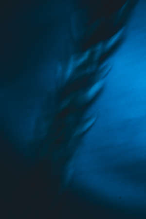 abstract blue plant background, blurred plant image, film photoの写真素材