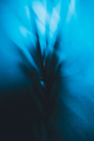 abstract blue plant background, blurred plant image, film photoの写真素材