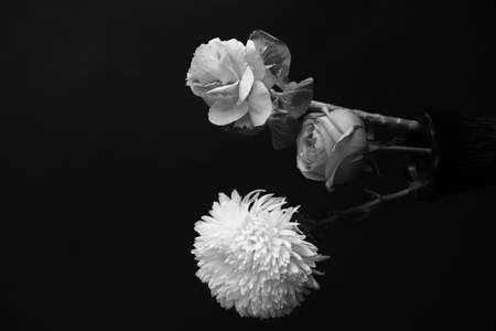 Black and white floral background. Art photography of plants, multi-exposure and minimalism. Trendy creative modern summer fashion concept.の写真素材