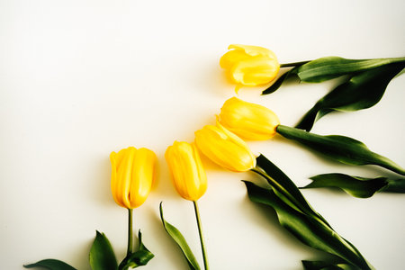 Abstract floral background. Bouquet of yellow tulips on white background. Flat lay, top view floral festive holiday conceptの写真素材
