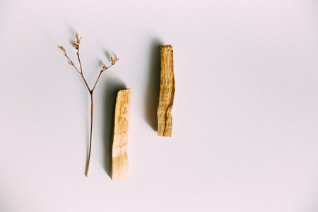 Natural incense White Sage and Palo Santo. Sacred tree of South America, color square photo.White...