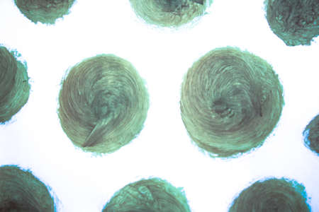 Green abstract background and textureの写真素材