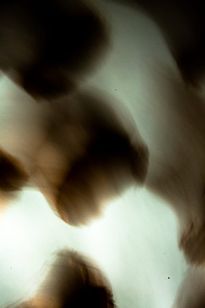 abstract yellow-black background, beautiful and fuzzy pattern on white background