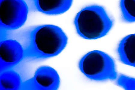 Abstract blue background, hand painted texture, painted with acrylics, splashes, drops of paint, paint strokes. Design for backgrounds, wallpapers, covers and packaging.の写真素材