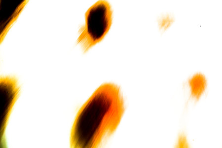 abstract yellow-black background, beautiful and fuzzy pattern on white background