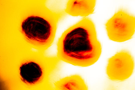 abstract yellow-black background, beautiful and fuzzy pattern on white background