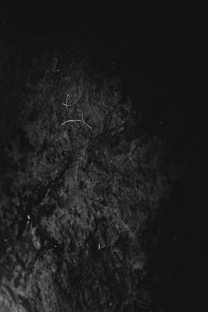 abstract rocky background, mountains and texture elements of stones close-up, black and white textureの写真素材
