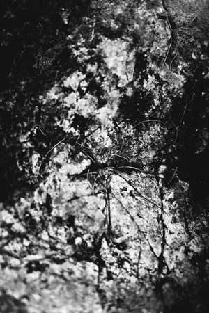 stone texture, mountain element close-up, abstract solid stone backgroundの写真素材