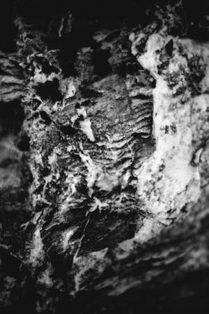 stone texture, mountain element close-up, abstract solid stone backgroundの写真素材