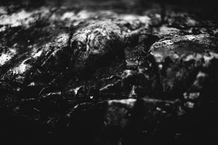 stone texture, mountain element close-up, abstract solid stone backgroundの写真素材