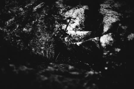 abstract rocky background, mountains and texture elements of stones close-up, black and white textureの写真素材