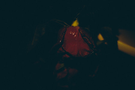 abstract home background, interior photos in the light of dimmed lamps, glare and reflections