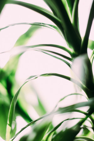 green abstract background of tropical plant leaves, silhouettes of branches close-up