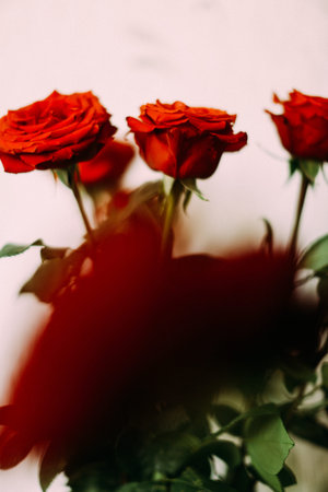 bouquet of red roses, abstract floral fuzzy vintage floral background