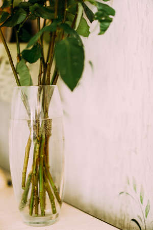 bouquet of red roses, abstract floral fuzzy vintage floral backgroundの写真素材
