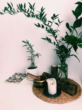 the layout of incense on a neutral background. palo santo and white sage, eucalyptus leaves and wooden standの写真素材