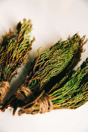 forest plant juniper, neatly tied bunches of artichoke close-upの写真素材