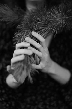 hand and branch of a plant, black and white aesthetics, beautiful blurred soft focusの写真素材
